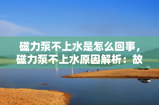 磁力泵不上水是怎么回事，磁力泵不上水原因解析：故障排查与解决方案