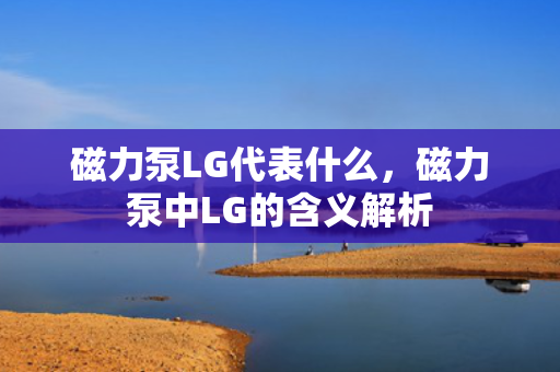 磁力泵LG代表什么，磁力泵中LG的含义解析