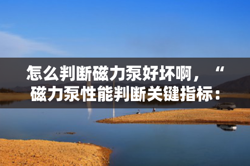 怎么判断磁力泵好坏啊，“磁力泵性能判断关键指标：一步了解如何评估磁力泵的好坏”