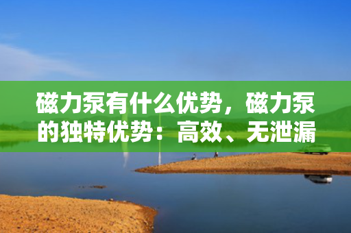 磁力泵有什么优势，磁力泵的独特优势：高效、无泄漏、安全可靠的流体传输解决方案