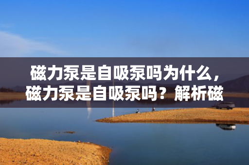 磁力泵是自吸泵吗为什么，磁力泵是自吸泵吗？解析磁力泵与自吸泵的区别与联系