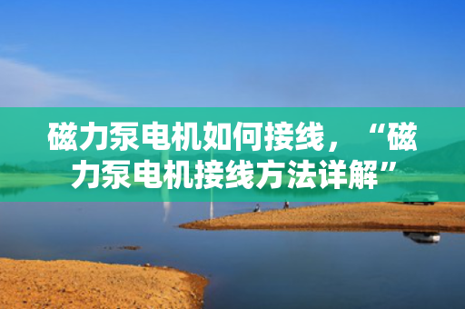磁力泵电机如何接线，“磁力泵电机接线方法详解”