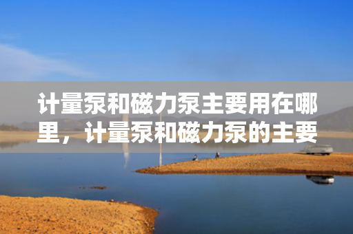 计量泵和磁力泵主要用在哪里，计量泵和磁力泵的主要应用领域探讨