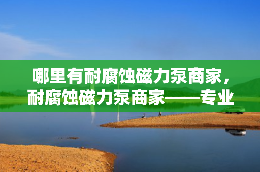 哪里有耐腐蚀磁力泵商家，耐腐蚀磁力泵商家——专业供应高质量耐腐蚀磁力泵