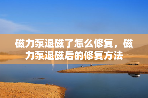 磁力泵退磁了怎么修复，磁力泵退磁后的修复方法
