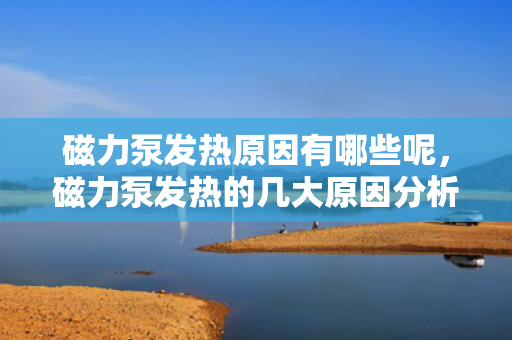 磁力泵发热原因有哪些呢，磁力泵发热的几大原因分析