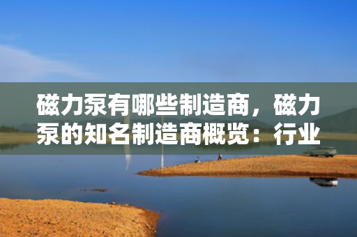 磁力泵有哪些制造商，磁力泵的知名制造商概览：行业领军企业与专业厂商