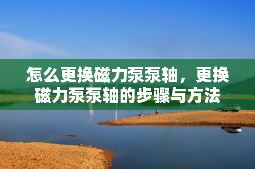 怎么更换磁力泵泵轴，更换磁力泵泵轴的步骤与方法