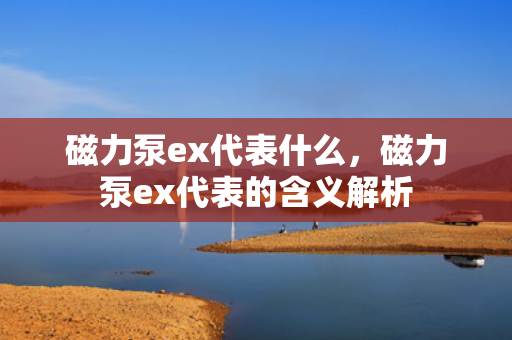 磁力泵ex代表什么，磁力泵ex代表的含义解析