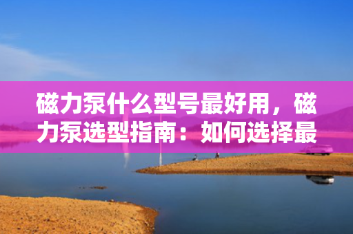 磁力泵什么型号最好用，磁力泵选型指南：如何选择最适合的磁力泵型号