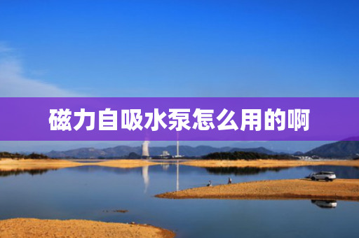 磁力自吸水泵怎么用的啊