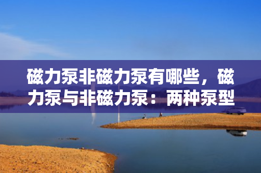 磁力泵非磁力泵有哪些，磁力泵与非磁力泵：两种泵型的特性与差异解析