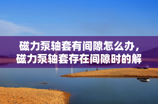 磁力泵轴套有间隙怎么办，磁力泵轴套存在间隙时的解决方案