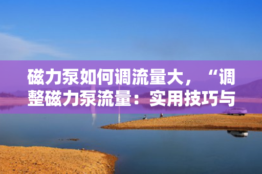 磁力泵如何调流量大，“调整磁力泵流量：实用技巧与步骤解析”