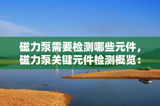 磁力泵需要检测哪些元件，磁力泵关键元件检测概览：确保性能与安全的必备步骤