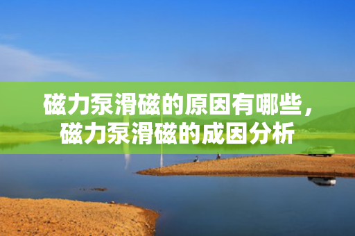 磁力泵滑磁的原因有哪些，磁力泵滑磁的成因分析