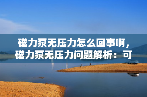 磁力泵无压力怎么回事啊，磁力泵无压力问题解析：可能原因及解决方案探讨