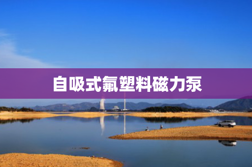自吸式氟塑料磁力泵