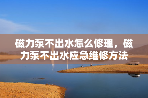 磁力泵不出水怎么修理，磁力泵不出水应急维修方法