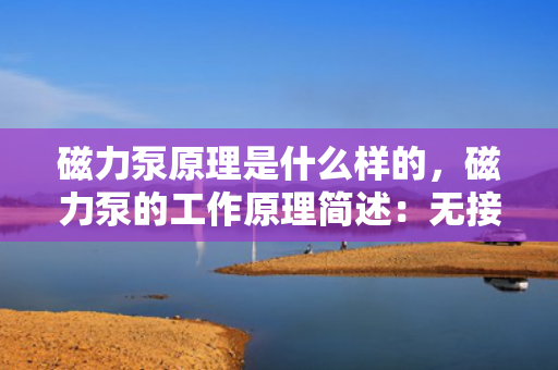 磁力泵原理是什么样的，磁力泵的工作原理简述：无接触动力传输与高效液体输送