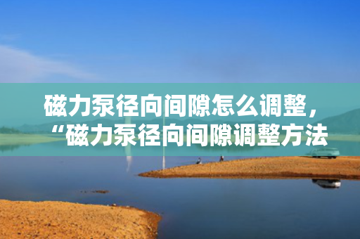 磁力泵径向间隙怎么调整，“磁力泵径向间隙调整方法”