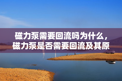 磁力泵需要回流吗为什么，磁力泵是否需要回流及其原因解析