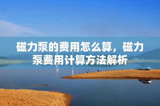 磁力泵的费用怎么算，磁力泵费用计算方法解析