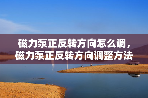 磁力泵正反转方向怎么调，磁力泵正反转方向调整方法