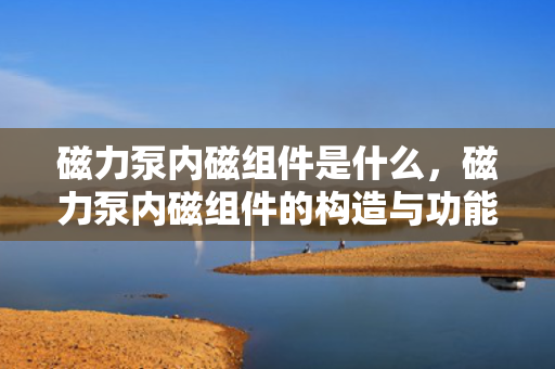 磁力泵内磁组件是什么，磁力泵内磁组件的构造与功能解析
