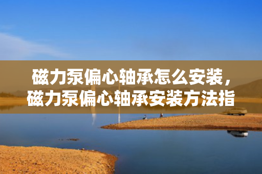 磁力泵偏心轴承怎么安装，磁力泵偏心轴承安装方法指南