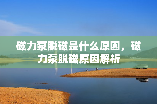 磁力泵脱磁是什么原因，磁力泵脱磁原因解析