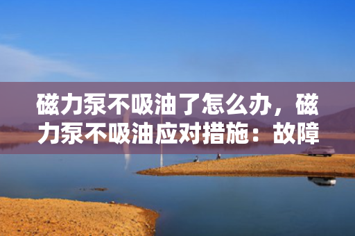 磁力泵不吸油了怎么办，磁力泵不吸油应对措施：故障排查与解决方案