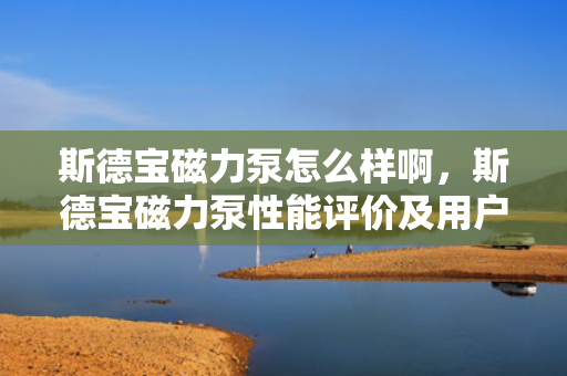 斯德宝磁力泵怎么样啊，斯德宝磁力泵性能评价及用户反馈概览