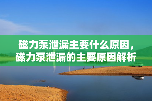 磁力泵泄漏主要什么原因，磁力泵泄漏的主要原因解析