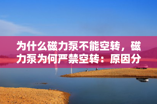 为什么磁力泵不能空转，磁力泵为何严禁空转：原因分析与潜在风险