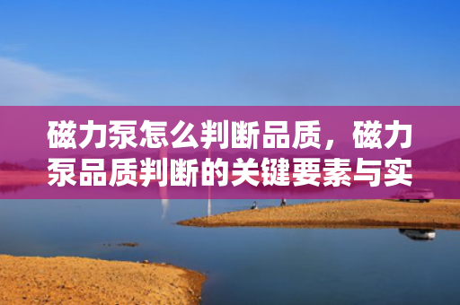 磁力泵怎么判断品质，磁力泵品质判断的关键要素与实用方法