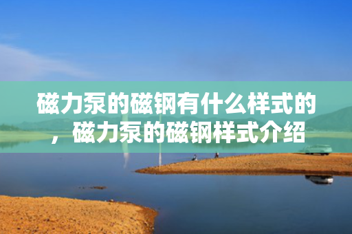 磁力泵的磁钢有什么样式的，磁力泵的磁钢样式介绍