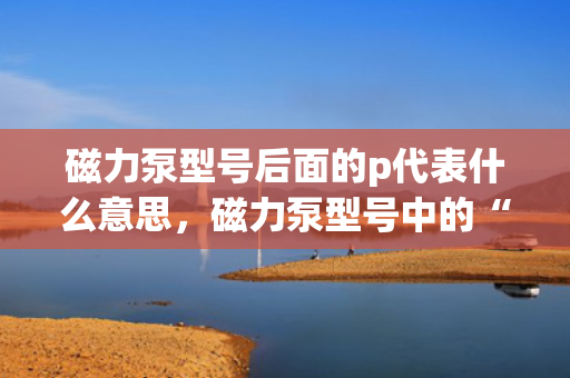 磁力泵型号后面的p代表什么意思，磁力泵型号中的“P”代表的含义解析