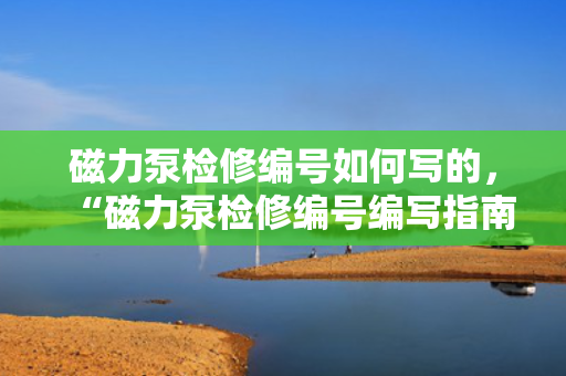 磁力泵检修编号如何写的，“磁力泵检修编号编写指南”