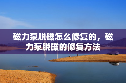 磁力泵脱磁怎么修复的，磁力泵脱磁的修复方法