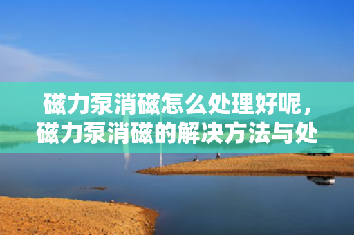 磁力泵消磁怎么处理好呢，磁力泵消磁的解决方法与处理建议
