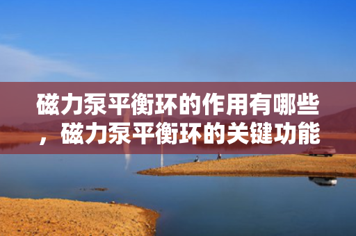 磁力泵平衡环的作用有哪些，磁力泵平衡环的关键功能及作用解析