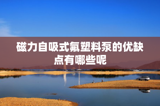 磁力自吸式氟塑料泵的优缺点有哪些呢