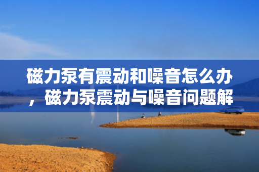 磁力泵有震动和噪音怎么办，磁力泵震动与噪音问题解决方案