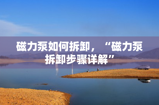 磁力泵如何拆卸，“磁力泵拆卸步骤详解”