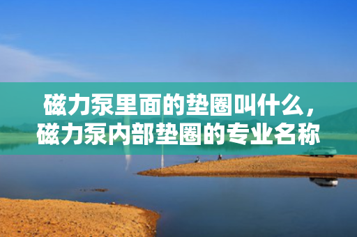 磁力泵里面的垫圈叫什么，磁力泵内部垫圈的专业名称或功能解析
