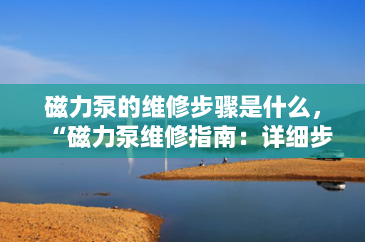磁力泵的维修步骤是什么，“磁力泵维修指南：详细步骤一览”