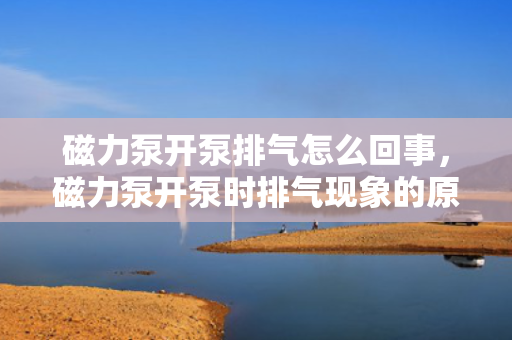 磁力泵开泵排气怎么回事，磁力泵开泵时排气现象的原因及解决方法