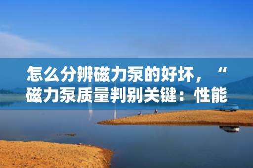 怎么分辨磁力泵的好坏，“磁力泵质量判别关键：性能、材质与运行稳定性的综合考量”