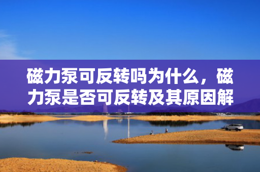 磁力泵可反转吗为什么，磁力泵是否可反转及其原因解析